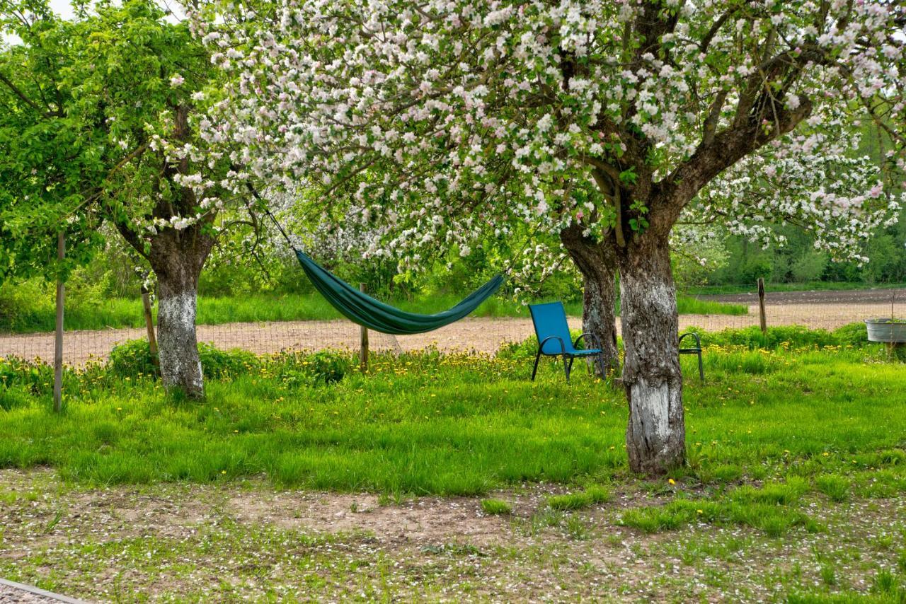 Apartmán Brzozowy Zakatek-Brzozowa Bania Tykocin Exteriér fotografie
